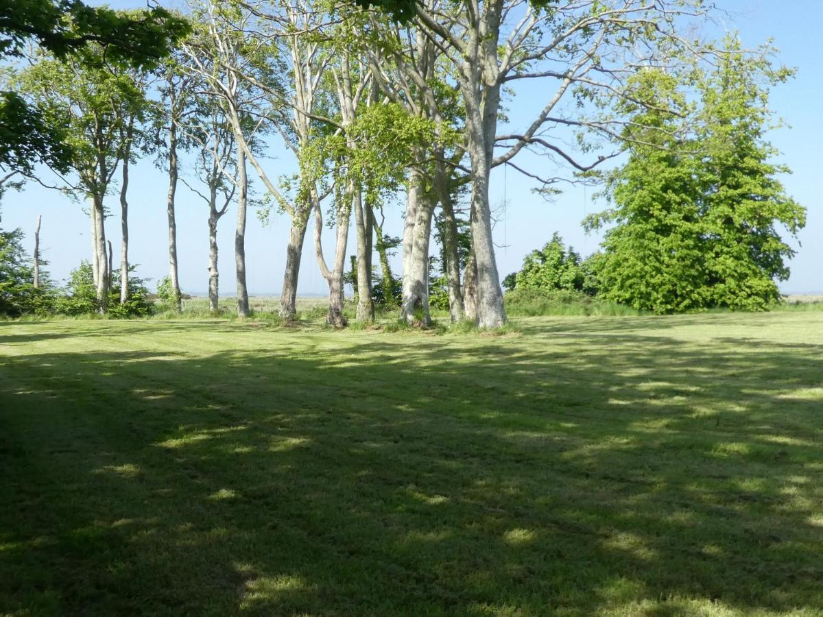 West Border Farm Villa Wigton Dış mekan fotoğraf